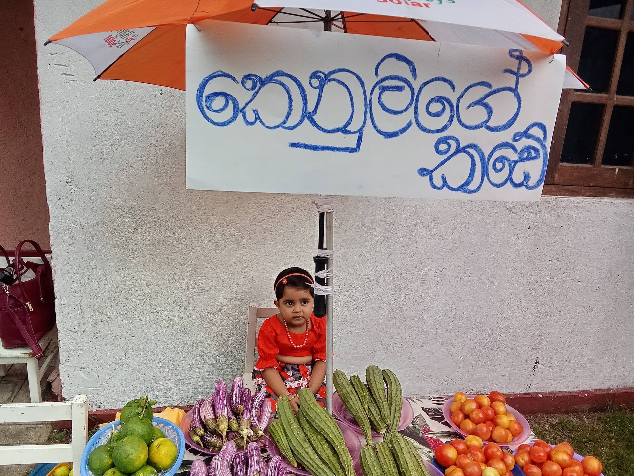 Winchild Annual Kids Fair (Singithi Pola)