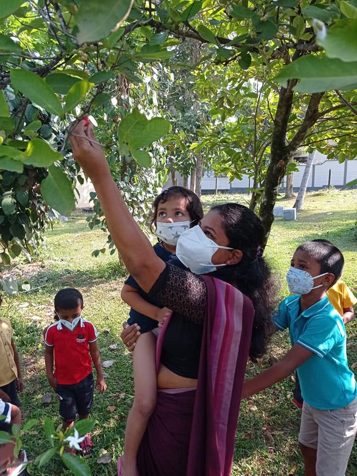 Outdoor learning activities