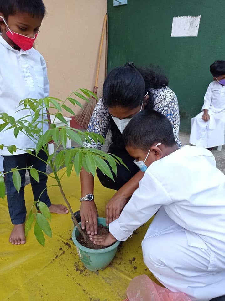 Gardening activities