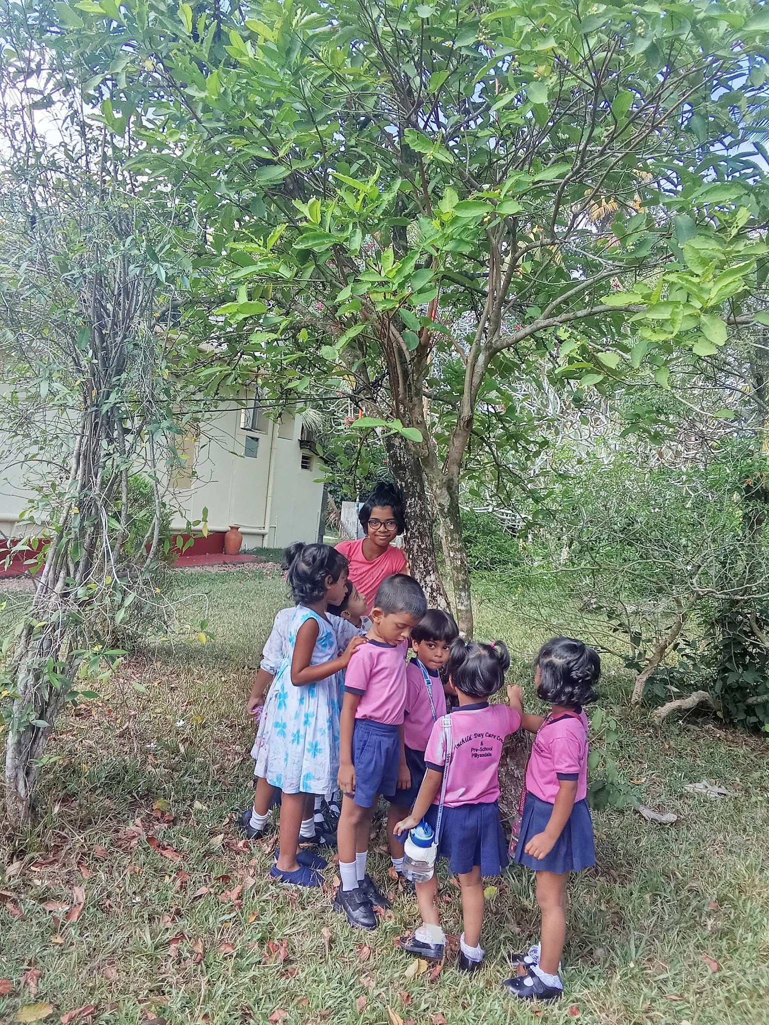 Outdoor learning activities